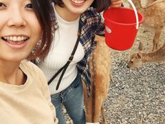 -鹿境梅花鹿生态园区