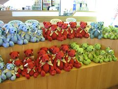 -济州岛泰迪熊博物馆