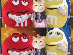 -m豆巧克力世界(上海世茂广场店)