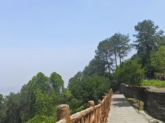 -铁山坪森林公园