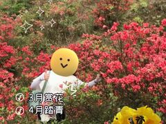 -广东天露山旅游度假区