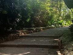 -仙岳公园