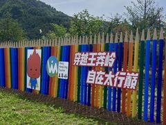 -王莽岭风景区