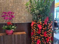 -蛇口希尔顿南海酒店·随轩中餐厅·粤菜