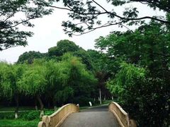 -暨阳湖生态园