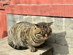 -万松老人塔