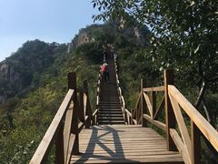 -大岭沟猕猴桃谷风景区