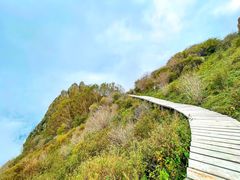 -白草畔自然风景区