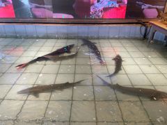 -胖姐渔村(中源大道店)
