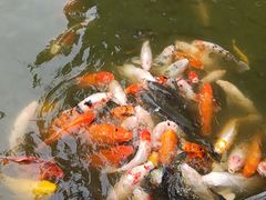 -珠海圆明新园