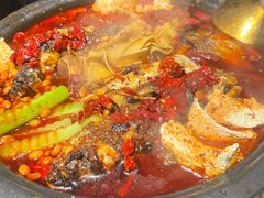 -探鱼·鲜青椒爽麻烤鱼(天一广场店)