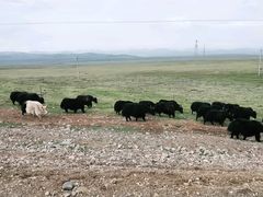 -青海湖国家重点风景名胜区