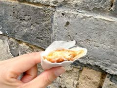 葱包烩儿-舌尖葱包烩