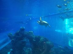 -成都浩海立方海洋公园