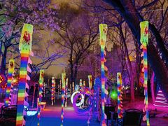 -枫花园汽车电影院(朝阳公园店)