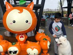 -上海长兴岛郊野公园