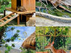 -佛冈森波拉度假区