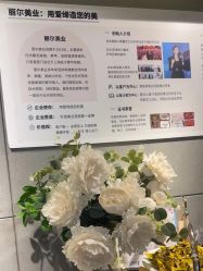 -丽尔美睫