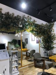 -明洞造型精品烫染