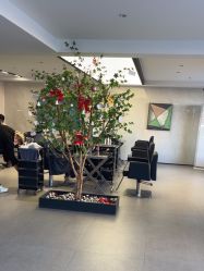 -付军剪艺JF ProSalon