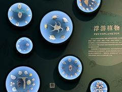 -中国湿地博物馆