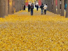 -康熙养生SPA·轻奢足道(江宁万达店)