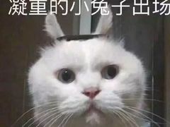 -鸡鸣汤包(广东路店)