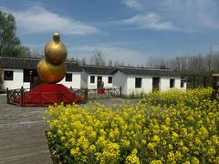 -溱湖国家湿地公园