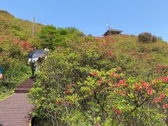 -大围山国家森林公园