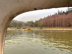 -莲花山公园
