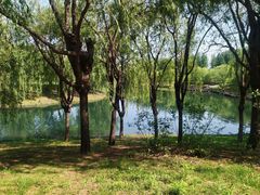 -长春公园(普阳街道)