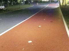 -万绿园