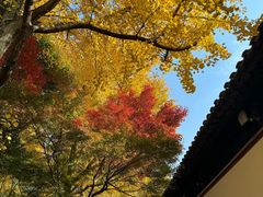 -西园戒幢律寺