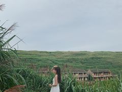 -东极岛景区