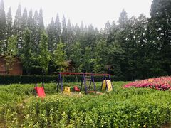 -金岛生态园烧烤露营地