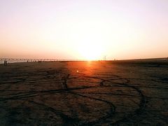 -南汇嘴观海公园