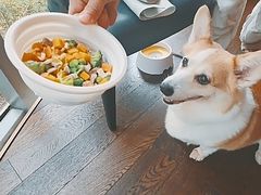 -西安浐灞艾美酒店·汉江餐厅·火锅