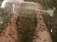 -中家鑫园温泉酒店鑫悦汤泉