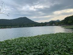 -苏堤停车场