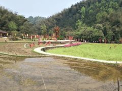-常德桃花源景区