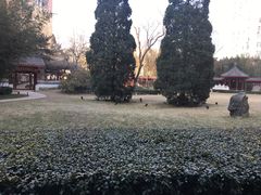 -咖啡CHA自助餐厅(香格里拉饭店)