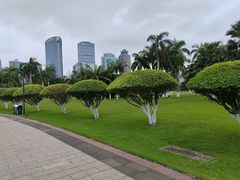 -万绿园