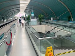 -龙阳路磁悬浮列车总站-停车场