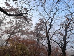 -吉林拉法山