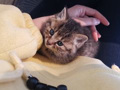 -么么咖啡(燕郊店)