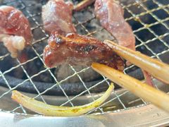 -四斤烤肉(东戴河孟家店)