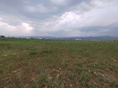 -敕勒川草原