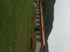 android_upload_pic-帽儿山风景区