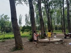 -东郊湿地公园