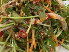 拌水芹菜-善女酱汤馆